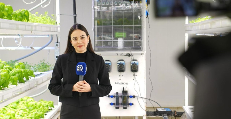 FAO'dan Kadınlar ve Kız Çocukları Günü İçin Özel İçerik