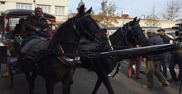 Faytonlar İçin Valilikte Toplanıldı