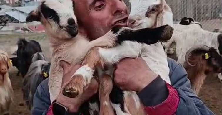 Fenomen Çoban Şahin Dürlü'nün Oğlak Sevgisi
