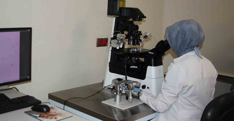 Fethi Sekin Şehir Hastanesi Tüp Bebek Merkezi: Umut Dolu Bir Gelecek