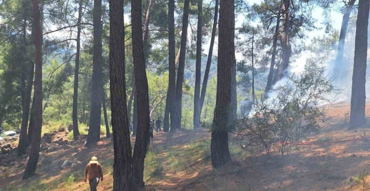 Fethiye'de Araç Yangını Ormana Sıçradı