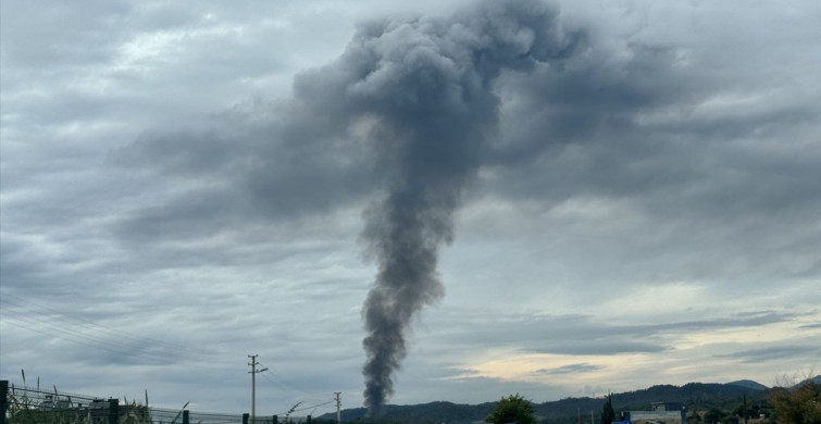 Fethiye'de Kamp Alanında Yangın Çıktı