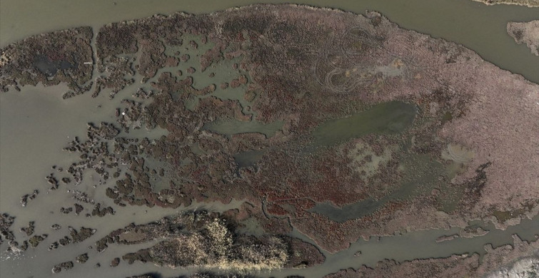 Fethiye'de Kuş Cenneti: Doğanın Görsel Şöleni