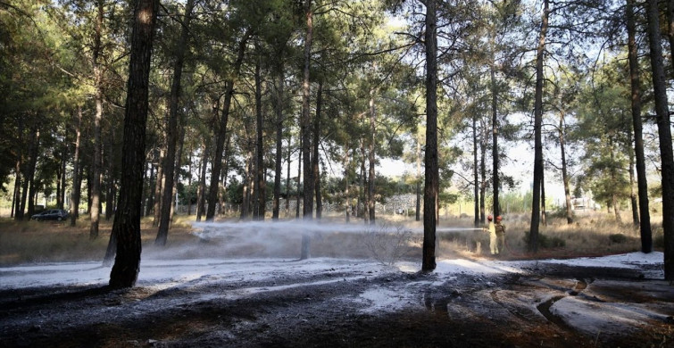 Fethiye'deki Orman Yangını Kontrol Altına Alındı