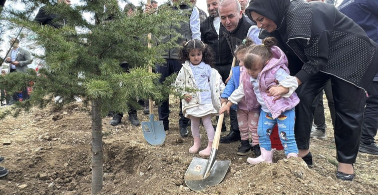 Fidanlar Toprakla Buluştu: Elazığ, Şırnak ve Bingöl'de Ağaçlandırma Etkinlikleri