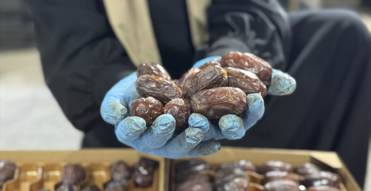 Filistinli Yetkililer, İsrail Hurmasının Yanıltıcı Pazarlamasına Dikkat Çekti