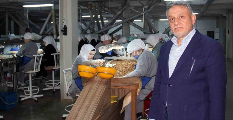 Fındık Fiyatları Düşmeye Devam Ediyor: Yeni Sezon Ne Getirecek?
