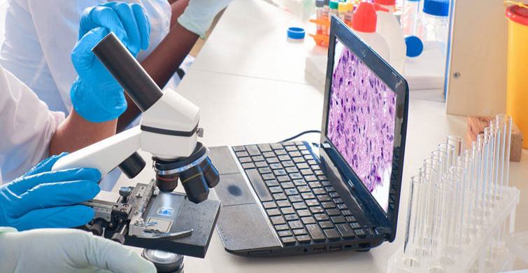 Finlandiya'da PCR Testlerinde Görülmeyen Mutasyon Tespit Edildi!