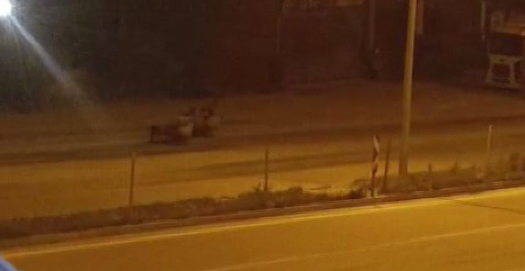 Firari Koyun Sürüsü Üst Geçidi Kullandı