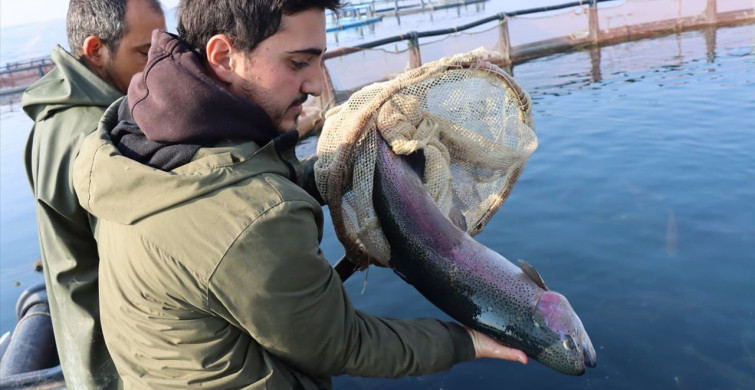 Fırat Nehri'nde Aile İle Balık Üretimi