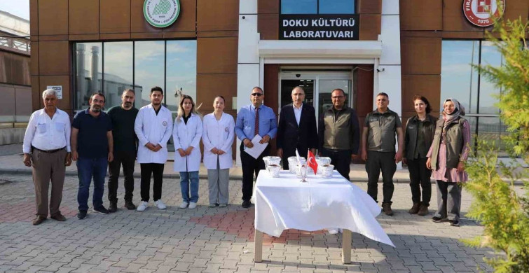 Fırat Üniversitesi'nde üretilen endemik bitkiler doğaya kazandırılıyor