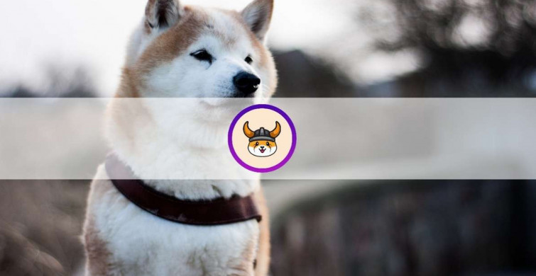 Floki Inu Nedir, Floki Inu Yorumu Nasıl?