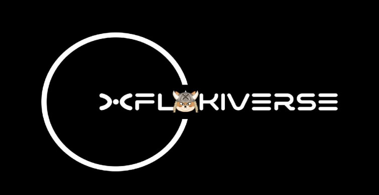 Flokiverse coin nedir? Flokiverse coin projesi ve yol haritası