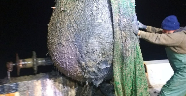 Foça'da Dip Çamuru Dökümüne Balıkçılardan Tepki