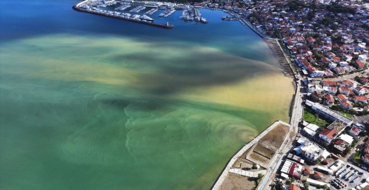 Foça'da Şiddetli Yağış Sonrası Altyapı Sorunları Gündemde