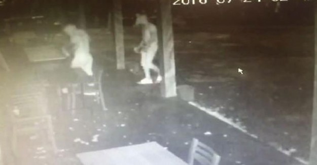 Fransız Mahkemesi PKK'lılara 'Terörist' Dedi