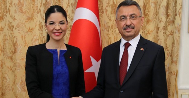 Fuat Oktay, Romanya Başbakan Yardımcısı Ana Birchall’ı Kabul Etti