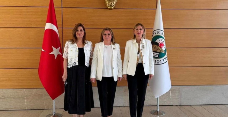 Fulya Uysal Güler, Türkiye noterler birliği başkanlığına başladı