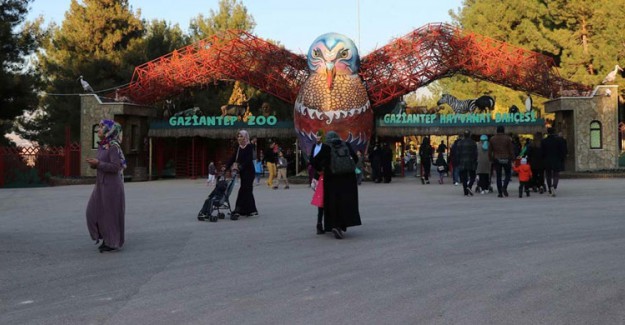 Gaziantep Hayvanat Bahçesi 4,5 Milyon Ziyaretçiyi Ağırladı