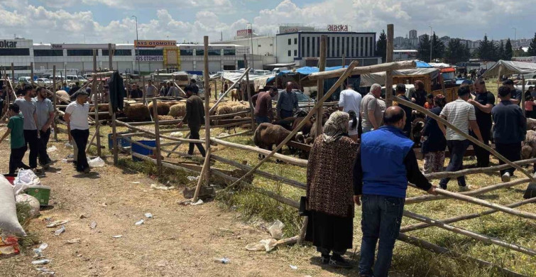 Gaziantep'te Arefe Günü Kurban Pazarlarındaki Yoğunluk
