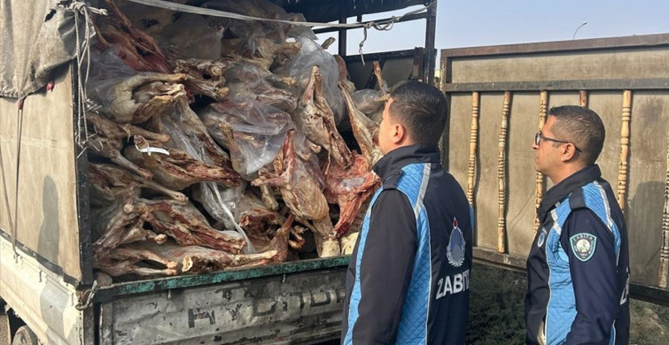 Gaziantep'te Bozulmuş Et İmhası