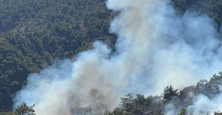 Gaziantep'te Orman Yangını: 1 Hektar Zarar