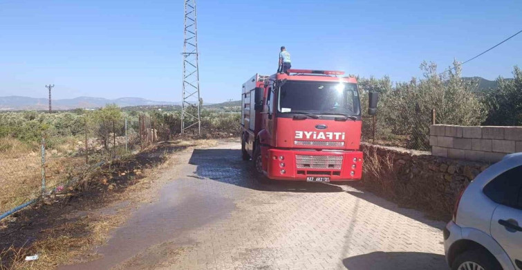 Gaziantep’te zeytinlik alanda yangın