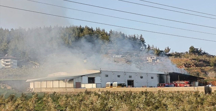 Gaziantep'teki Biber Fabrikasında Yangın Kontrol Altına Alındı