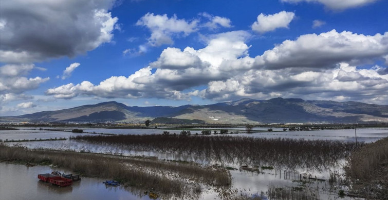 Gediz Nehri'nin Taşması İzmir'de Tarım Arazilerini Sular Altında Bıraktı