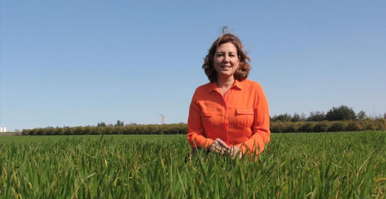 Gelecekte Buğday Üretimi %40 Verim Kaybıyla Yüzleşebilir