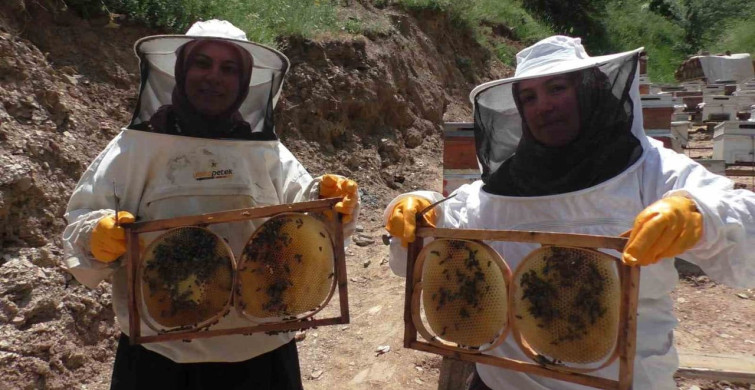 Gelin-görümcenin arıcılık başarısı: 5 kovandan 100 kovana ulaştılar