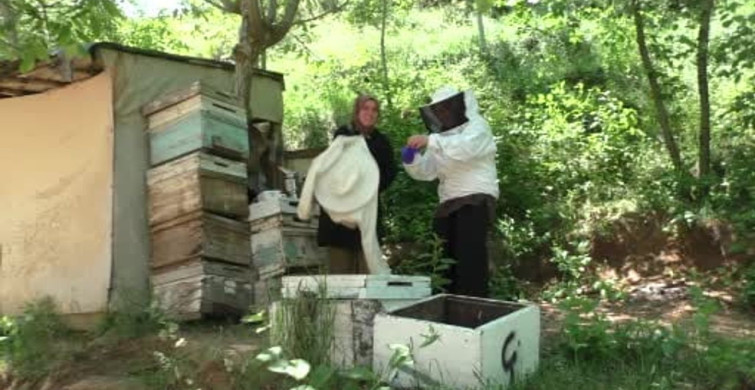 Gelin-görümcenin arıcılık serüveni 5 kovandan 100 kovana ulaştı