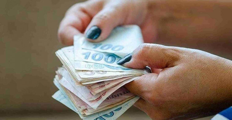 Gelirim evden bayram harçlığı nedir, nasıl başvuru yapılır? Türkiye Aile Destek programı başvuru şartları