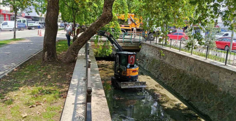 Gemlik çarşı deresi’nde temizlik çalışmaları başladı
