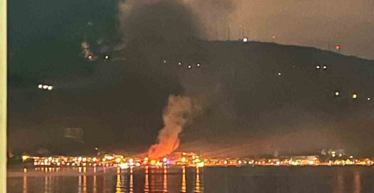 Gemlik'te Kurşunlu Sahili'nde Yangın Paniği