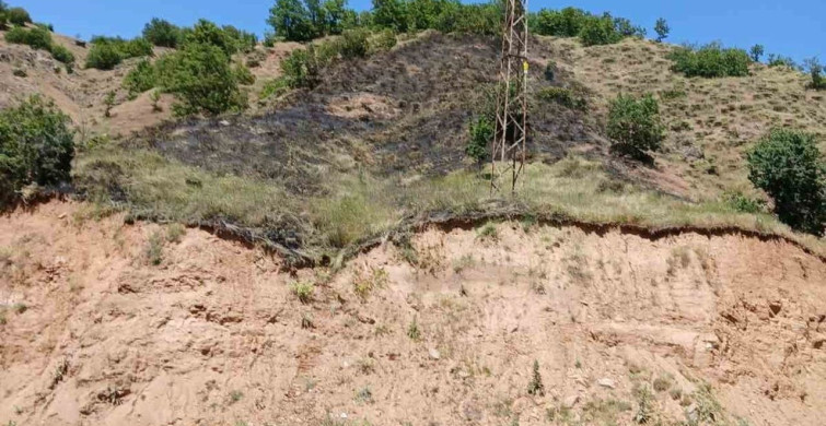 Genç ilçesinde çıkan orman yangını kontrol altına alındı