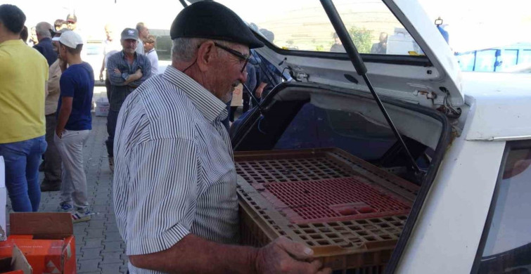 Gercüş'te 107 üreticiye yüzde 75 hibeli tavuk ve yem dağıtıldı