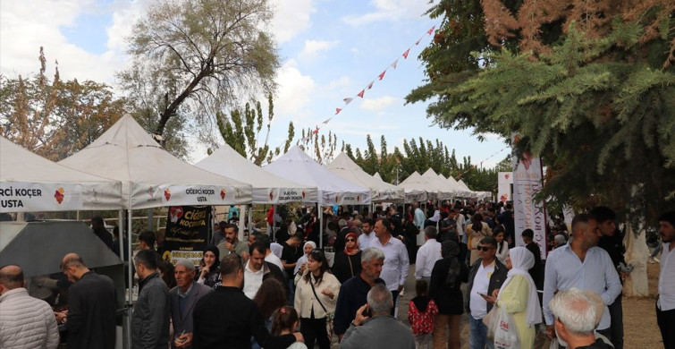Gercüş’te 4. Bağ Bozumu ve Gastronomi Festivali Coşkuyla Gerçekleşti