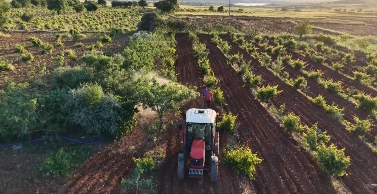 Gercüş'te Bahar Dönemi Çiftçiler Harekete Geçti