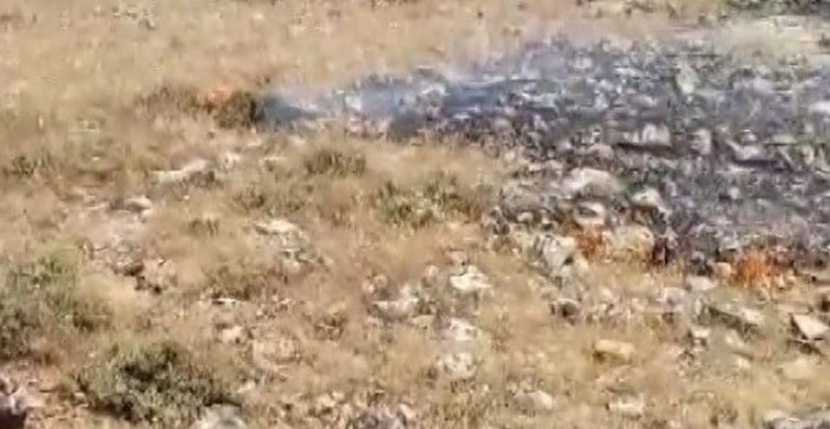 Gercüş'te çıkan yangın ekili alanları son anda kurtardı