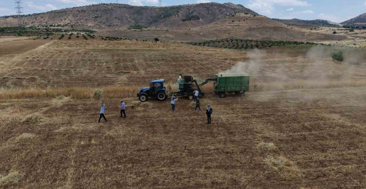 Gercüş'te kavurucu sıcakta oyun havalı hasat