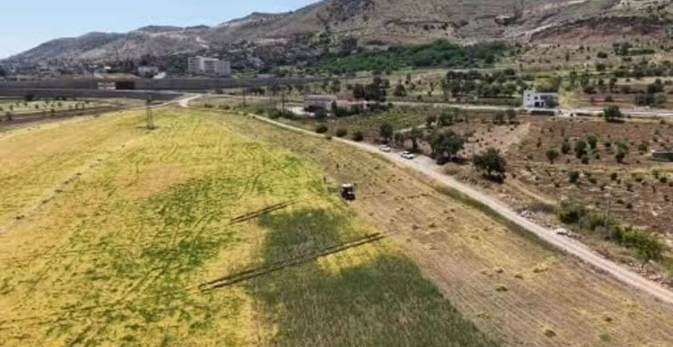 Gercüş’te Mercimek Hasadı: Çiftçilerin Yüzü Güldü