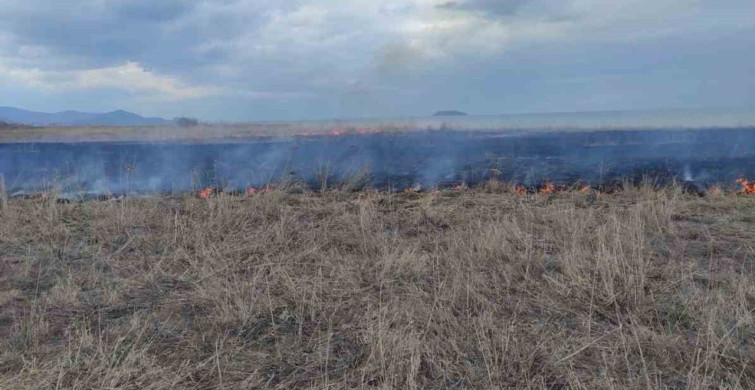 Gevaş'ta Anız Yangını