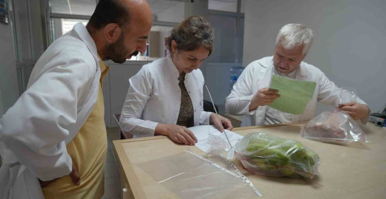 Gıda Güvenliği İçin Kontrol Laboratuvarında 552 Bin Parametre İnceleniyor