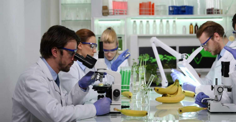Gıda Mühendisliği DGS 2022 taban puanları ve bölüm kontenjanları