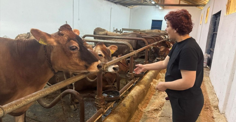 Giresun'da Hastalıktan Ari Hayvancılık Tesislerine Destek