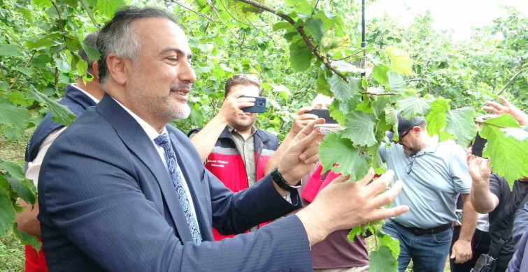 Giresun'da kahverengi kokarca ile mücadele için 130 bin samuray arısı salındı