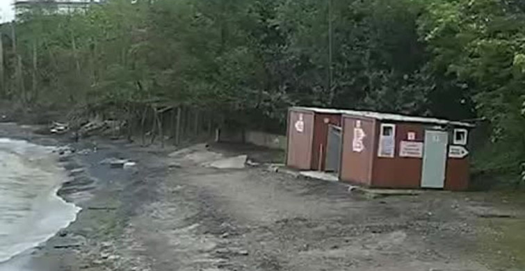 Giresun'da Kediye Çarpmamak İçin Manevra Yapan Araç Plaja Uçtu