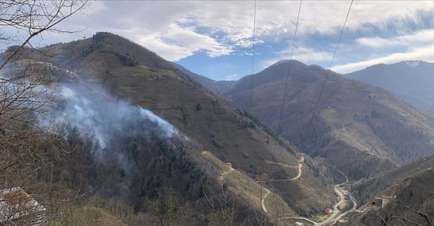  Giresun'da Örtü Yangınlarına Neden Olan 5 Kişi Hakkında Suç Duyurusu