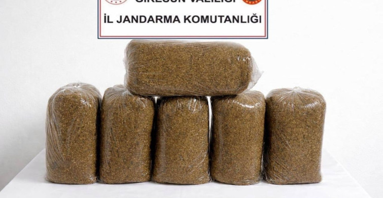 Giresun'da Uyuşturucu ve Kaçakçılığa Yönelik Operasyon